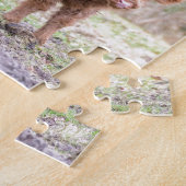 Schwarze schottische Hochländermutterkuh mit Puzzle (Seite)