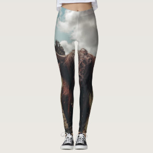 Schwarze schottische Hochlandkuh grast Vintage Ret Leggings