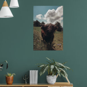 Schwarze schottische Hochlandkuh grast Vintage Ret Poster