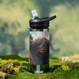Schwarze schottische Hochlandkuh grast Vintage Ret Trinkflasche