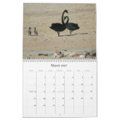 Schwarze Schwan-u. Cygnets-Wandkalender Kalender (Mär 2027)