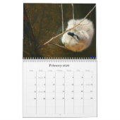 Schwarze Schwan-u. Cygnets-Wandkalender Kalender (Feb 2026)