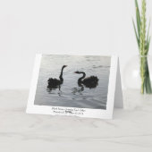 Schwarze Schwäne Gruß (breiter Rand) Karte (Rückseite)