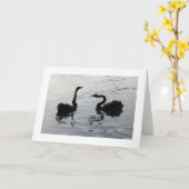 Schwarze Schwäne Gruß (breiter Rand) Karte (Gelbe Blume)