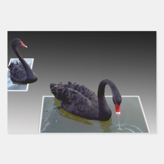 Schwarze Schwäne in Teichen, Geschenkwraps, entkle Geschenkpapier Set (Vorderseite 3)