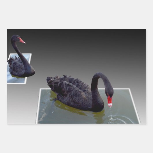 Schwarze Schwäne in Teichen, Geschenkwraps, entkle Geschenkpapier Set (Vorderseite 2)