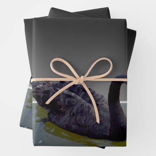 Schwarze Schwäne in Teichen, Geschenkwraps, entkle Geschenkpapier Set (Beispiel)