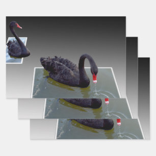 Schwarze Schwäne in Teichen, Geschenkwraps, entkle Geschenkpapier Set