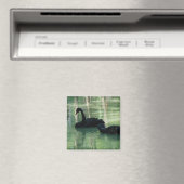Schwarze Schwäne Magnet (In Situ (Geschirrspüler))