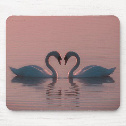 Schwarze Schwäne müssen Liebe Pink Sky sein Mousepad (Vorne)