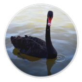 Schwarze Schwanentropfen im Teich, Keramikknauf (Vorderseite)