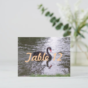 Schwarze Schwantisch-Nummer Postkarte
