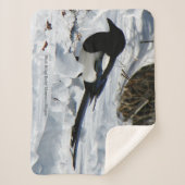Schwarze Schwärzelei-Rocky-Mountain-Magpie-Decke Sherpadecke (Vorderseite)