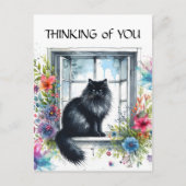 Schwarze sibirische Katze im Wasser des Fensters Postkarte (Vorderseite)