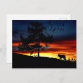Schwarze Silhouette von Wolf, Vögeln und Baum im S Postkarte (Vorne/Hinten)