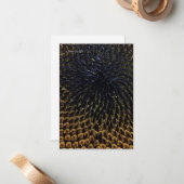 Schwarze Sonnenblumenkerne Mitteilungskarte (Vorderseite/Rückseite Beispiel)