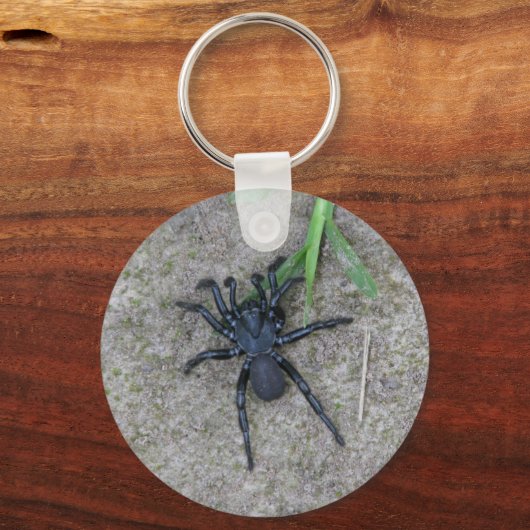 Schwarze Spider Schlüsselanhänger (Vorderseite)