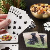 Schwarze Spielkarten Labradors (In Situ)