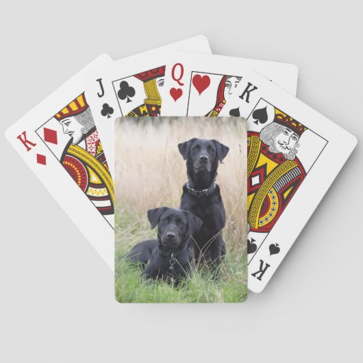 Schwarze Spielkarten Labradors (Rückseite)