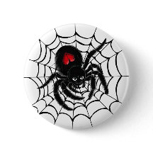 Schwarze Spinne im Web