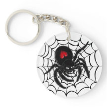 Schwarze Spinne im Web