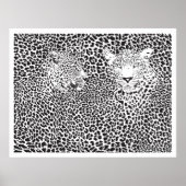 Schwarze Spots Leopards verblüfft Poster (Vorne)