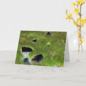 "Schwarze Steine", digital transformierte Steine / Karte (Gelbe Blume)
