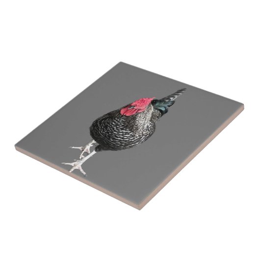 Schwarze Strutcockerel Nr. 3 Fliese (Seite)