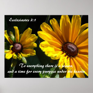 Schwarze Susans mit Bibelvers Poster