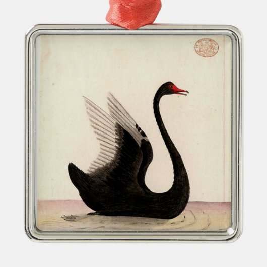 SCHWARZE SWAN ART ORNAMENT (Vorne)