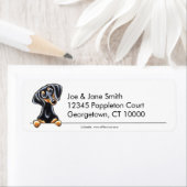 Schwarze Tan glatte Dackel sauber und einfach (Insitu)