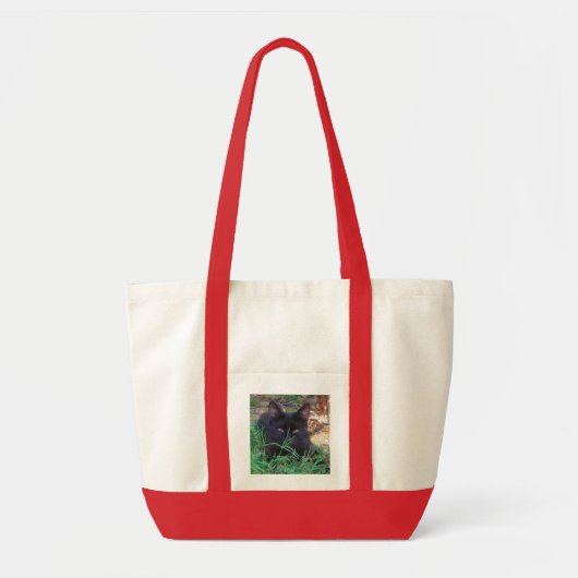 Schwarze Tasche (Vorne)