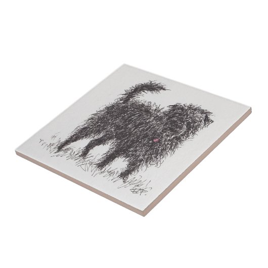 Schwarze Terrier-Keramik-Fliese Fliese (Seite)