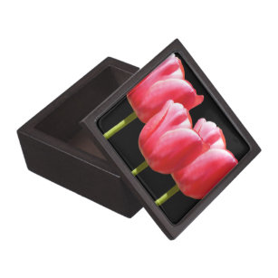 Schwarze Trio-Tulpe hält Geschenk/Schmuckkästchen Kiste