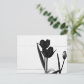 Schwarze Tulips | Postkarte (Stehend Vorderseite)