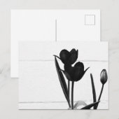 Schwarze Tulips | Postkarte (Vorne/Hinten)