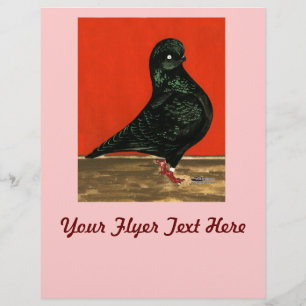 Schwarze Tümmlertaube Aquarell Flyer