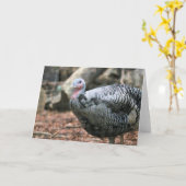 Schwarze Türkei Karte (Gelbe Blume)