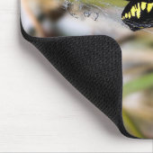 Schwarze u. gelbe Argiope-Garten-Spinne Mousepad (Ecke)