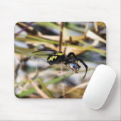 Schwarze u. gelbe Argiope-Garten-Spinne Mousepad (Mit Mouse)