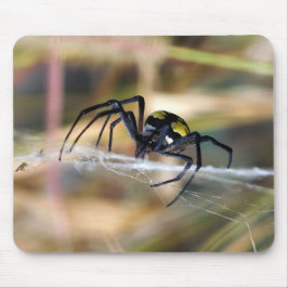 Schwarze u. gelbe Argiope-Garten-Spinne Mousepad