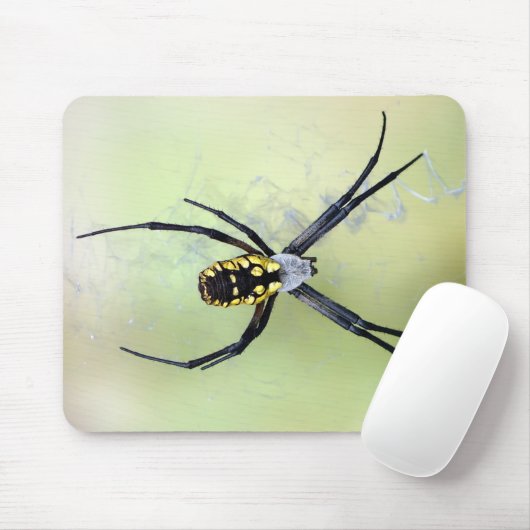 Schwarze u. gelbe Argiope-Garten-Spinne Mousepad (Mit Mouse)