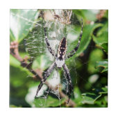 Schwarze u. gelbe fliese (Vorderseite)