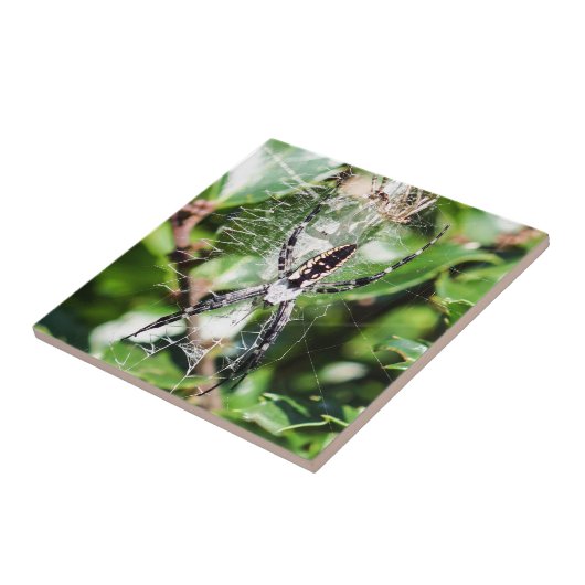 Schwarze u. gelbe fliese (Seite)