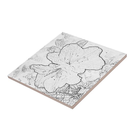 Schwarze u. weiße Blumen-Fliese Fliese (Seite)