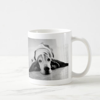 Schwarze u. weiße Dachshund-Jagdhund-Tasse Kaffeetasse