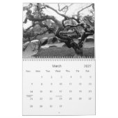 Schwarze u. weiße Fotografie des Kalender-2011 Kalender (Mär 2027)