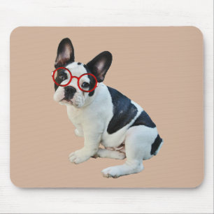 Schwarze u. weiße französische Bulldogge, die ro Mousepad