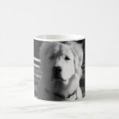 Schwarze u. weiße große Pyrenäen Kaffeetasse (Mittel)