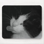 Schwarze u. weiße Katze Mousepad (Vorne)